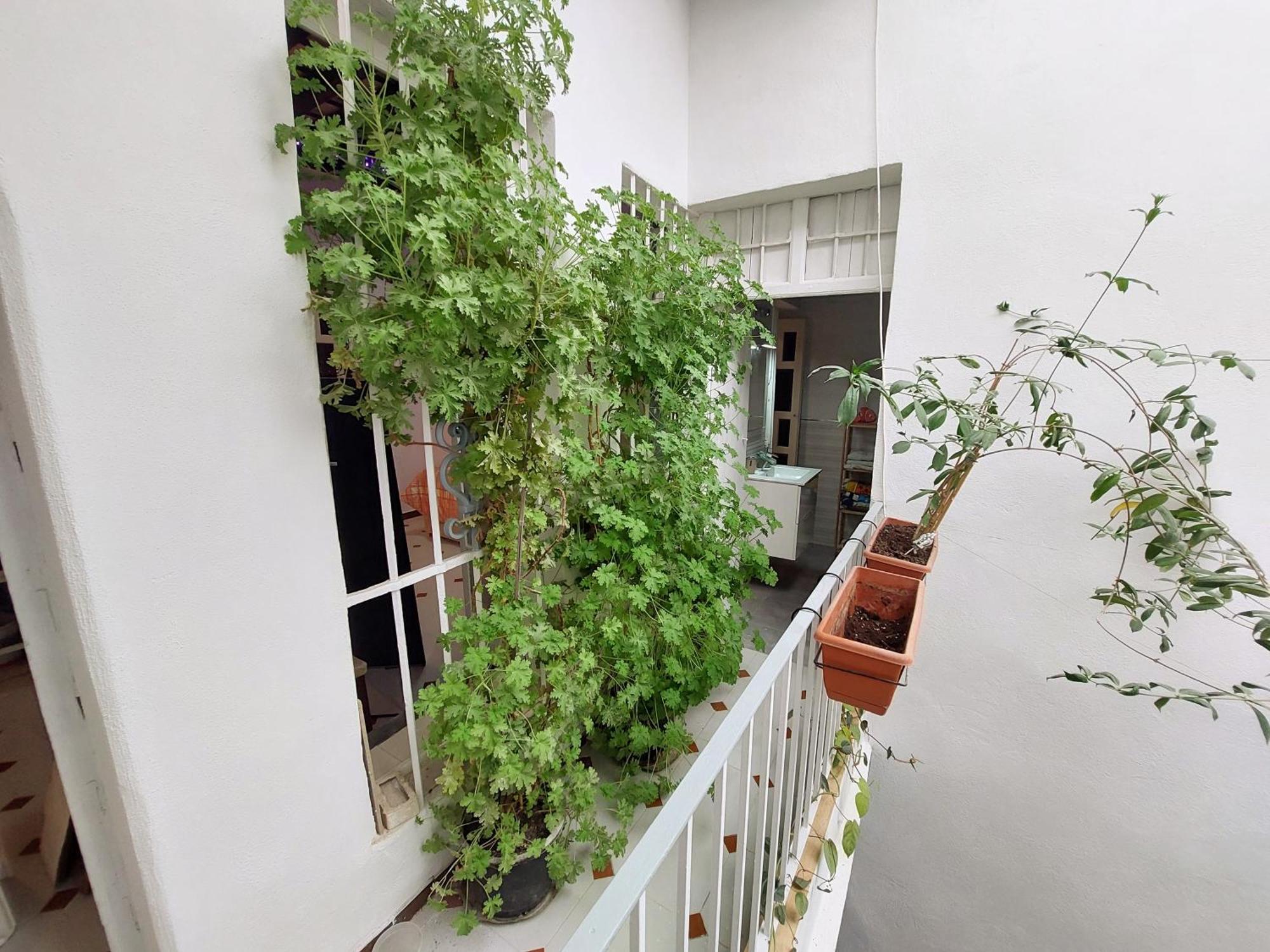 Casa Madre Gelart Patrimonio Gaditano Del Siglo XIX ซานเฟร์นันโด ภายนอก รูปภาพ
